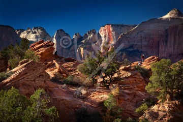 UTAH Zion National Park
